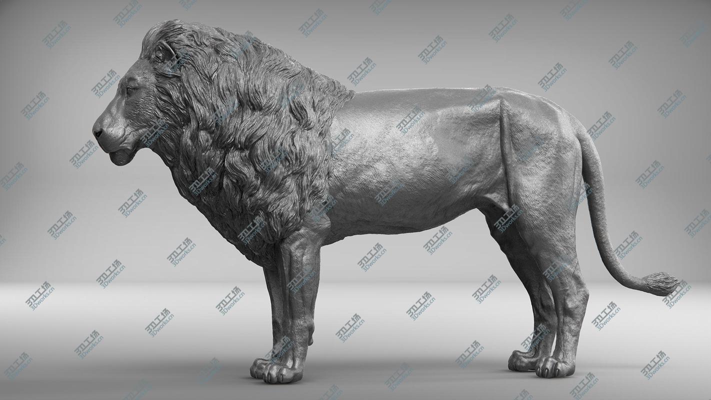 images/goods_img/2021040234/Lion Realistic 3D/5.jpg